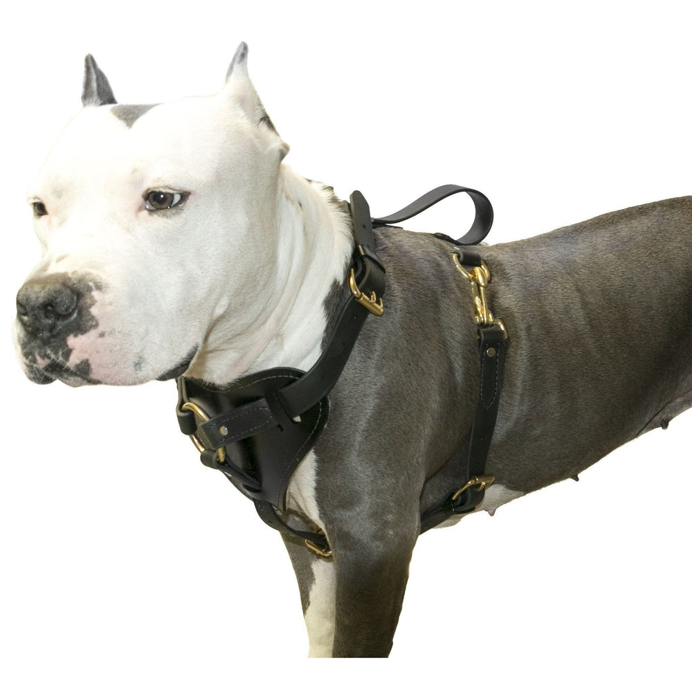 Viper Surge Biothane Working Dog Harness - Brass Hardware Dog Harnesses Dogline