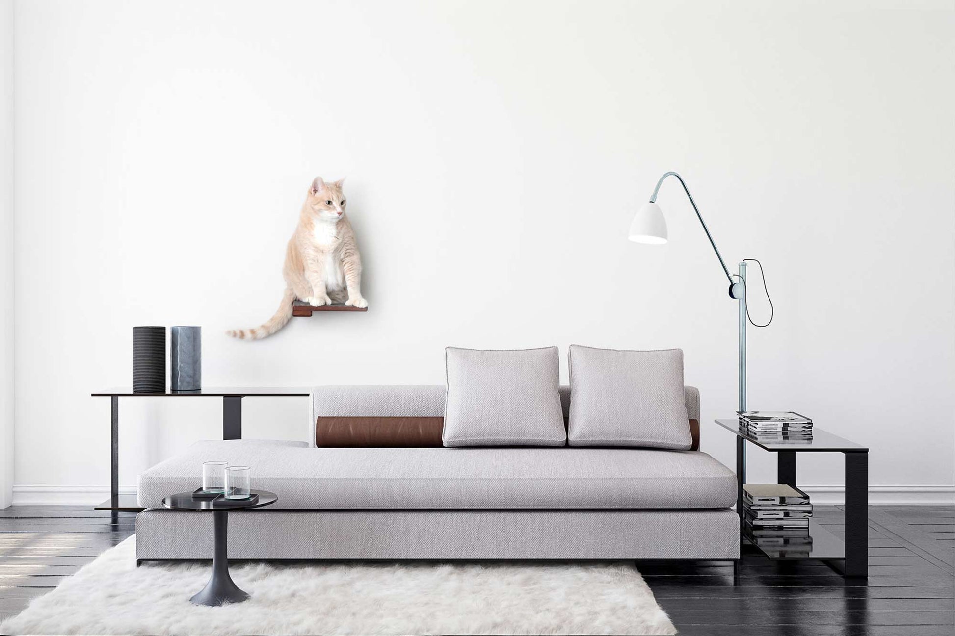 Cat Climbing Shelf Cat shelves/bed Catastrophic Creations