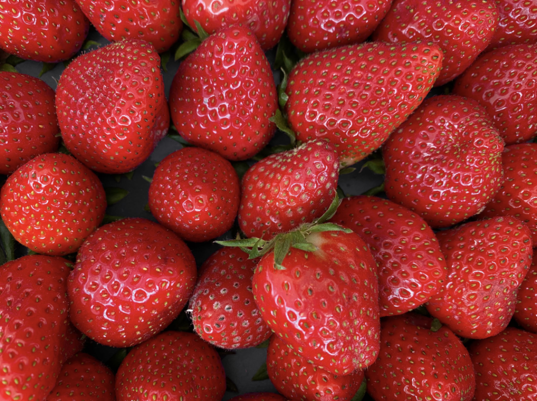 Strawberry Flavored Yak Cheese Chew - made with REAL STRAWBERRY Puree - Single Yak Chew Chief’s Treats and Pet Supplies