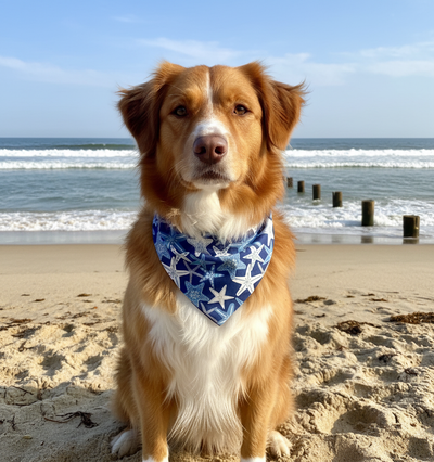Starfish Dog Bandana Dog Bandana Happy Tails Outfitters