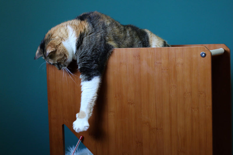 The Overlook - Sturdy - Bamboo Cat Tree Cat Condo Catastrophic Creations