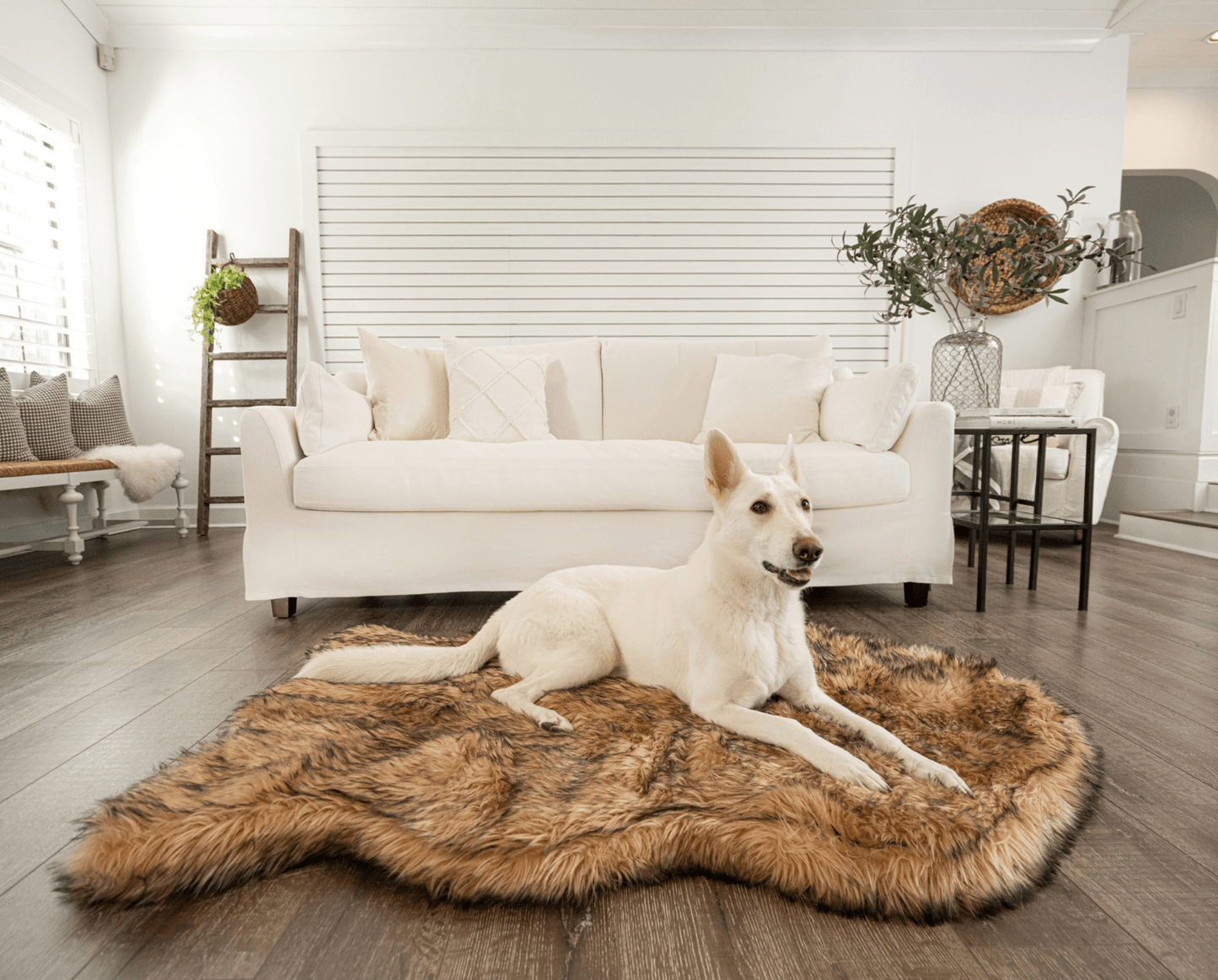 PupRug by Paw.com® Faux Fur Orthopedic Dog Bed - Curve Sable Tan Giant (60" L x 35" W) Dog Beds Paw