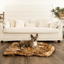 PupRug by Paw.com® Faux Fur Orthopedic Dog Bed - Curve Sable Tan Medium (40" L x 25" W) Dog Beds Paw