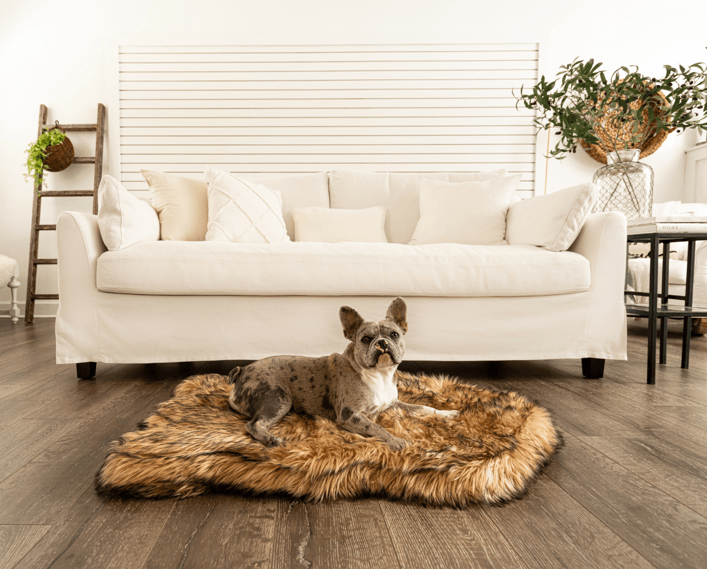 PupRug by Paw.com® Faux Fur Orthopedic Dog Bed - Curve Sable Tan Medium (40" L x 25" W) Dog Beds Paw