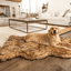 PupRug by Paw.com® Faux Fur Orthopedic Dog Bed - Curve Sable Tan Dog Beds Paw