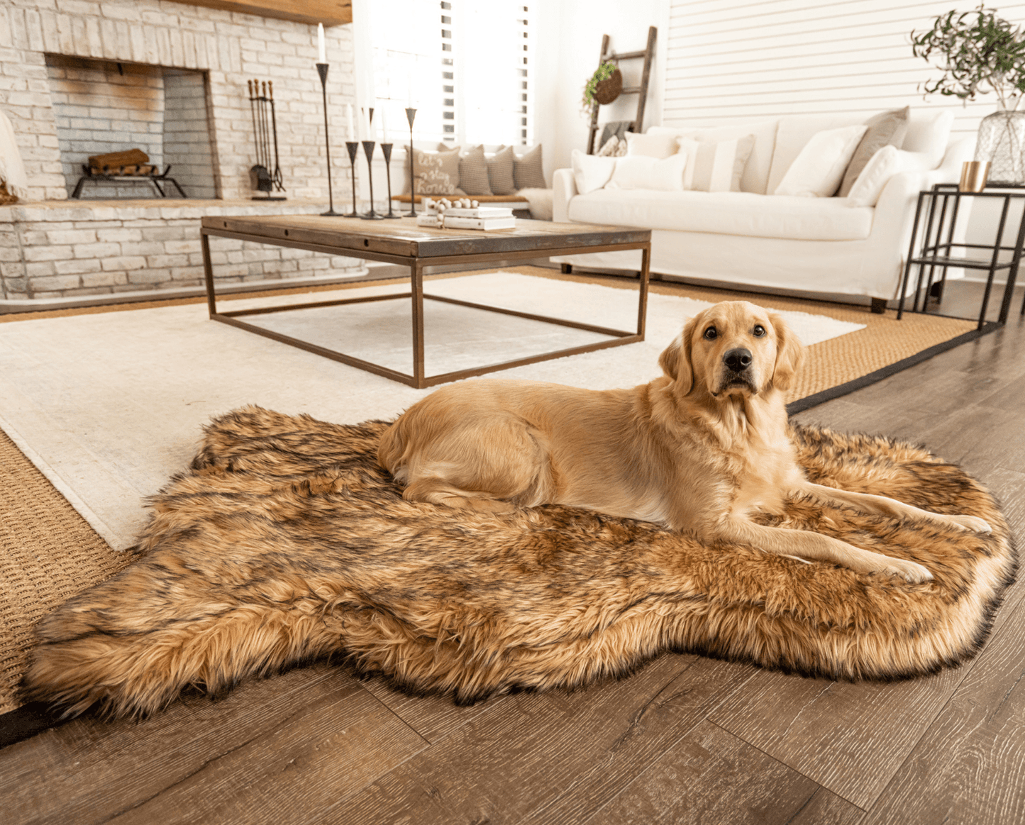 PupRug by Paw.com® Faux Fur Orthopedic Dog Bed - Curve Sable Tan Dog Beds Paw
