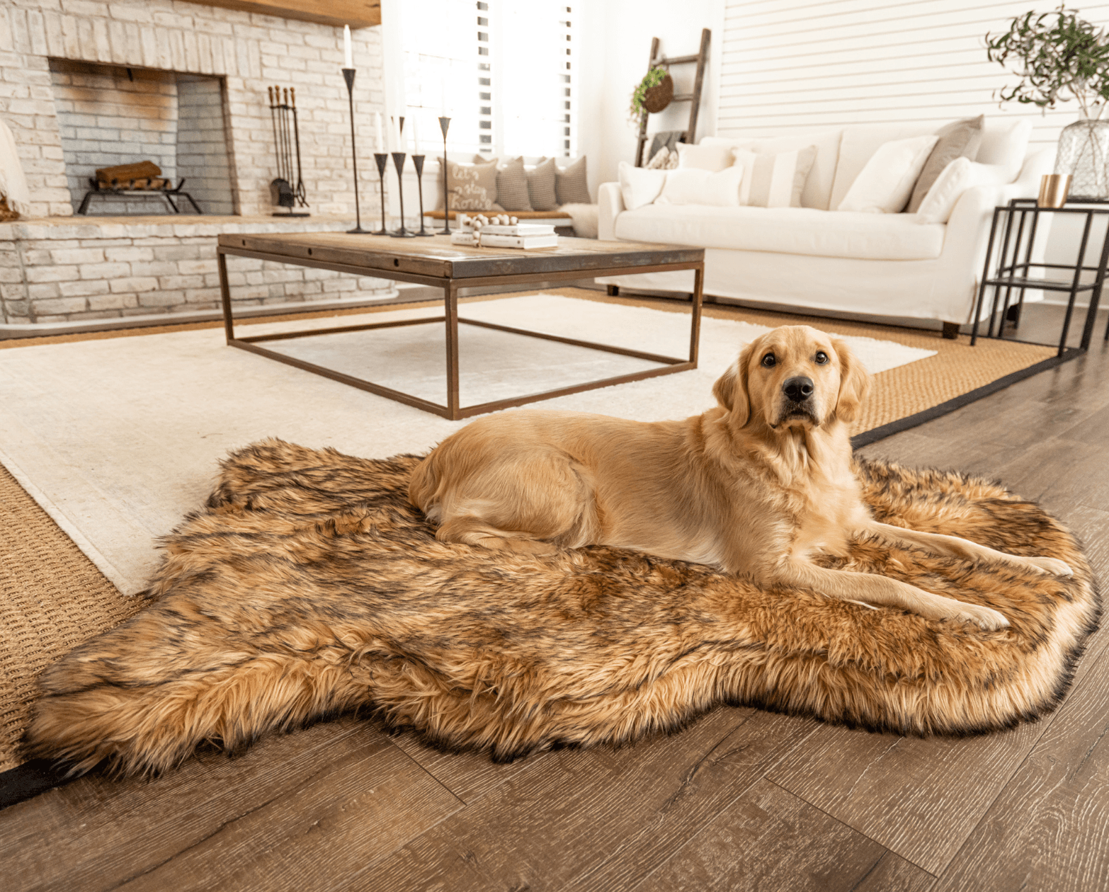 PupRug by Paw.com® Faux Fur Orthopedic Dog Bed - Curve Sable Tan Dog Beds Paw