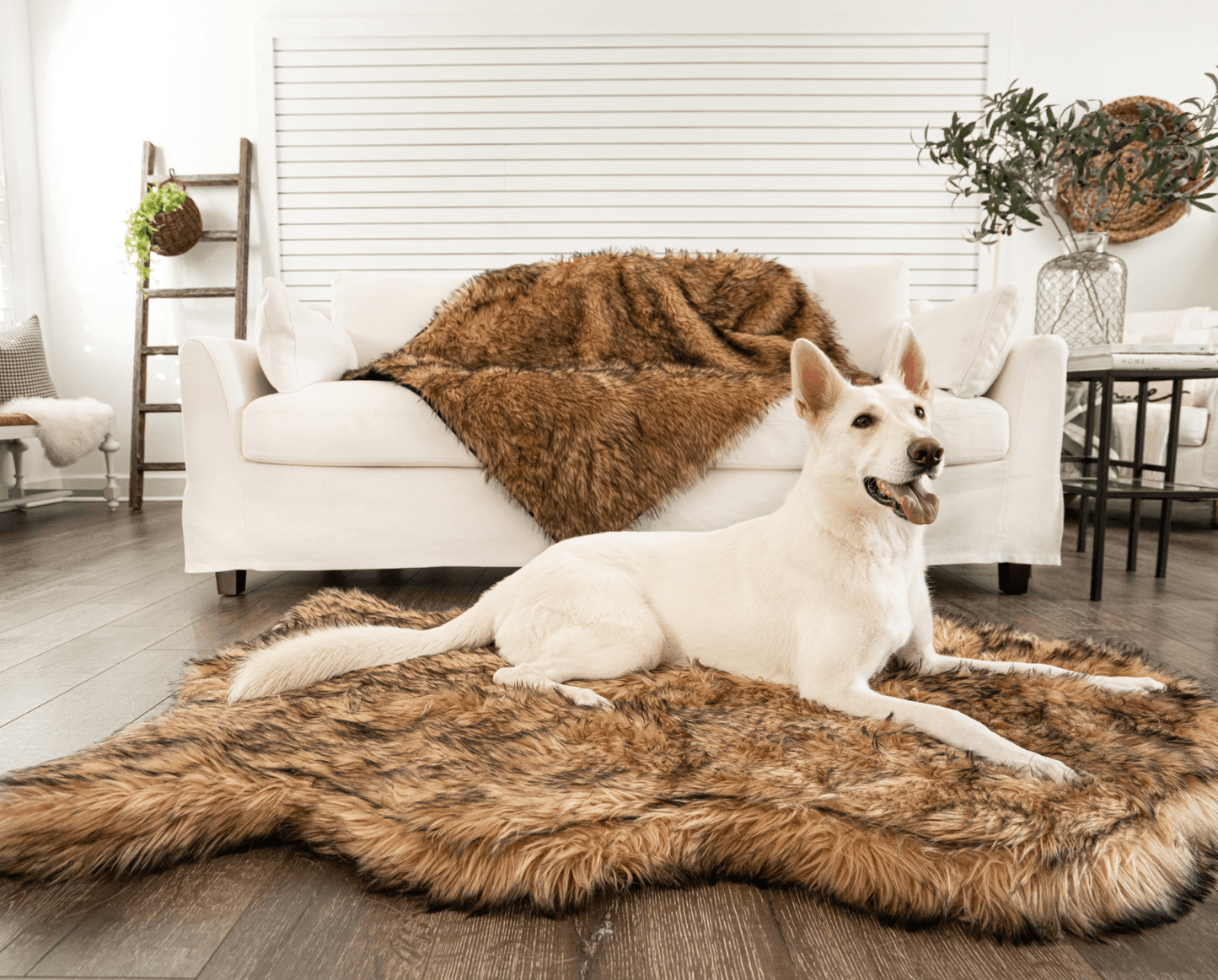PupRug by Paw.com® Faux Fur Orthopedic Dog Bed - Curve Sable Tan Dog Beds Paw