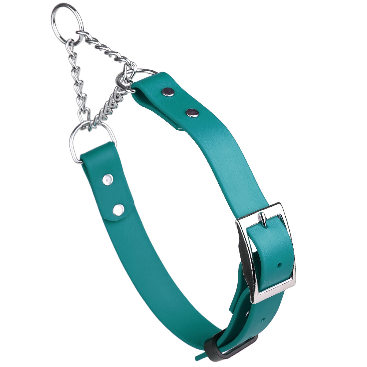 Biothane Adjustable Martingale Collar with Metal Buckle Teal Martingale Dog Collar Dogline