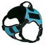 Dogline Quest Multi-Purpose No Pull Dog Harness Teal Dog Harnesses Dogline