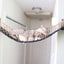 Cat Bridge for Wall Cat Bridge Catastrophic Creations