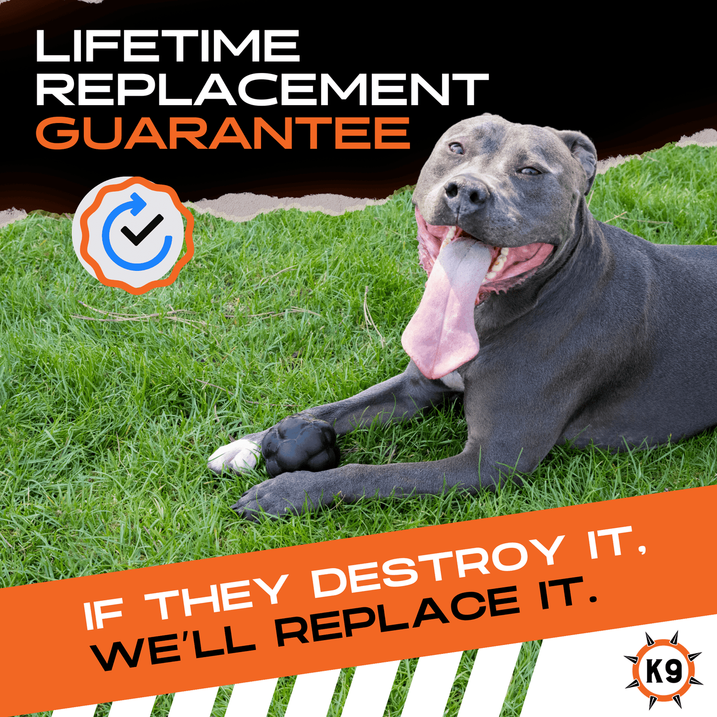 Rumble Ball Monster K9 Dog Toys