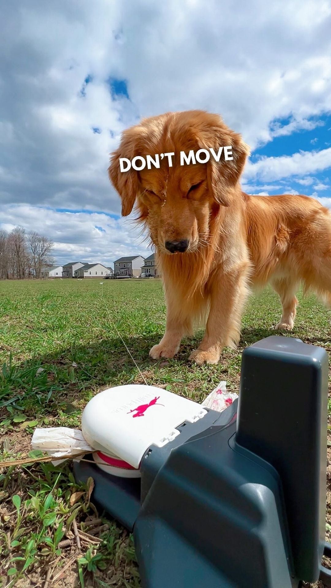 Home Plus Kit Enrichment Product SwiftPaws