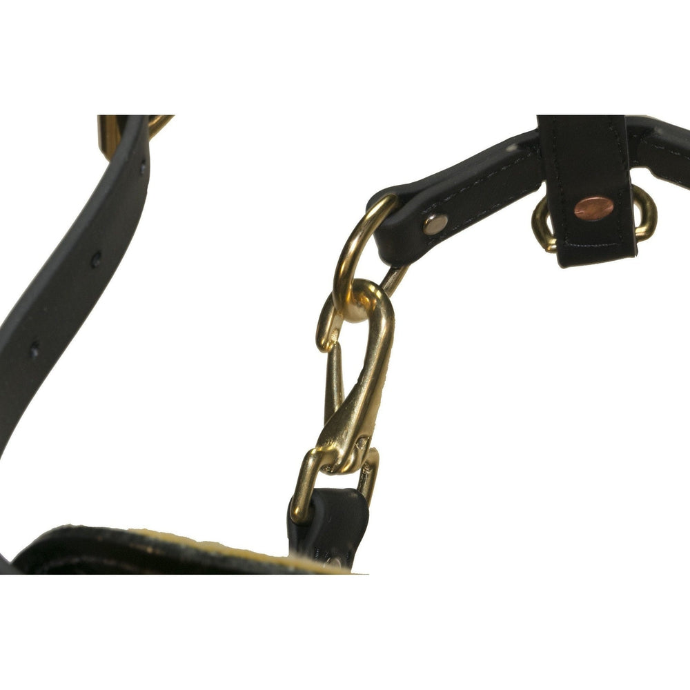 Viper Surge Biothane Working Dog Harness - Brass Hardware Dog Harnesses Dogline
