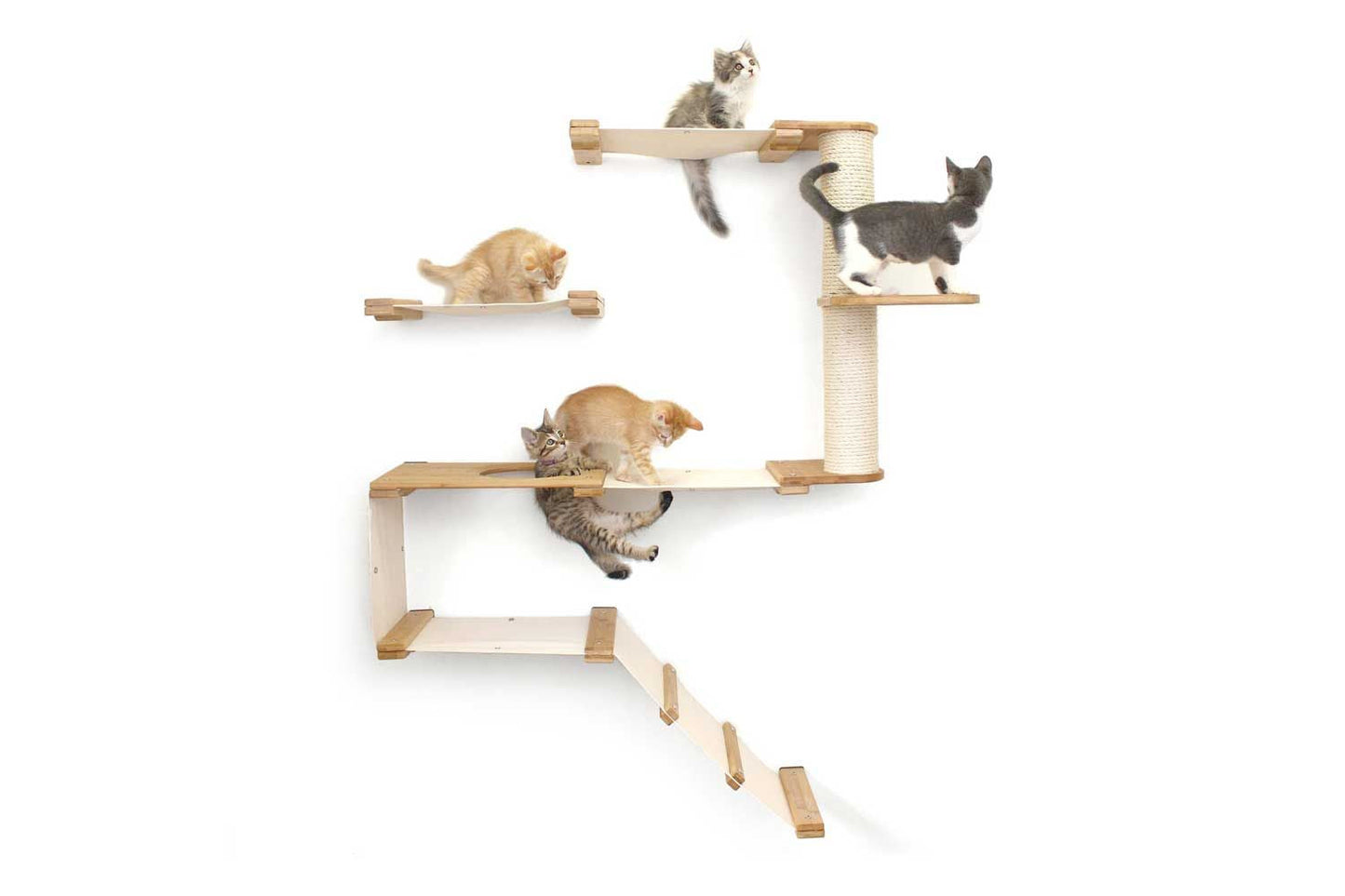 The Deluxe Cat Fort - Modern Cat Condo Cat Condo Catastrophic Creations