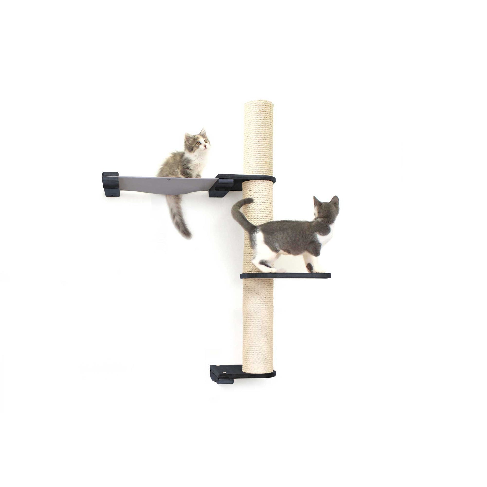 The Crow's Nest - A Wall Cat Scratcher with Hammock Onyx Bamboo Charcoal Gray Canvas 2-Tier 16" Cat Condo Catastrophic Creations