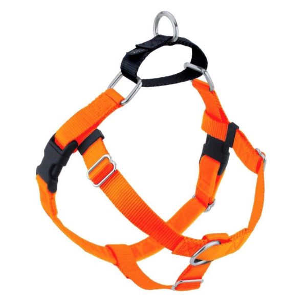Neon Orange Freedom No-Pull Dog Harness 2 Hounds Design