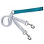 Training Leash (Multiple Color Options) Teal Silver 2 Hounds Design