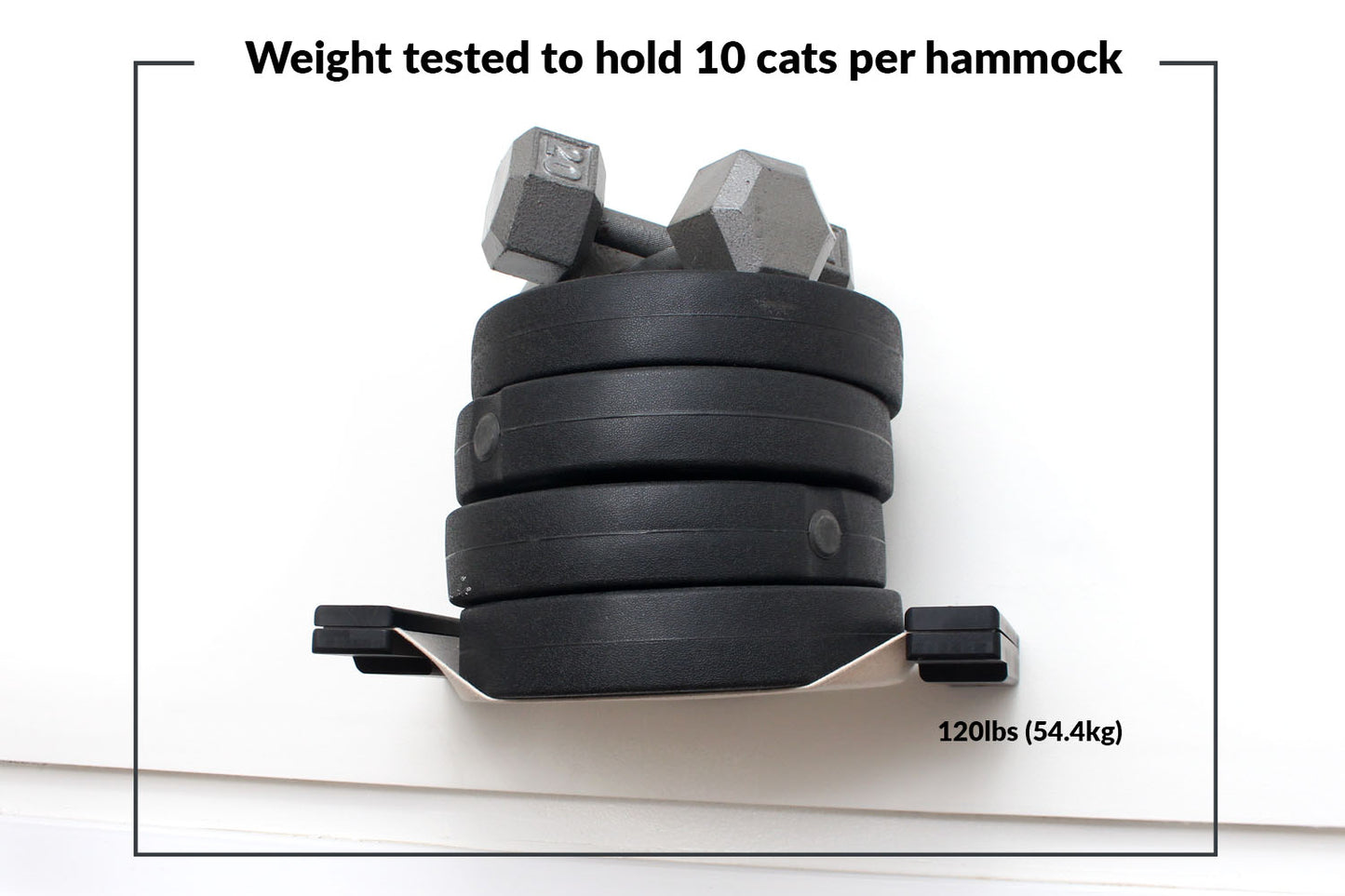 The Raceway - Wall Mounted Cat Hammock Cat Hammock Catastrophic Creations