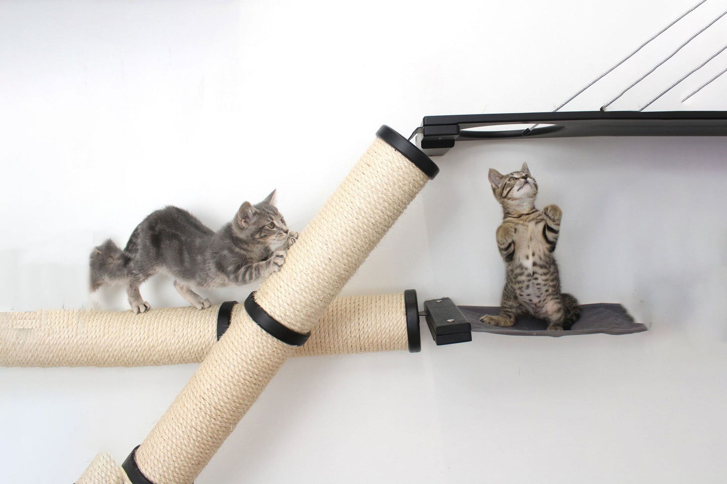 The Crossroads - Cat Wall Scratcher - Tree with Ramp Cat Condo Catastrophic Creations