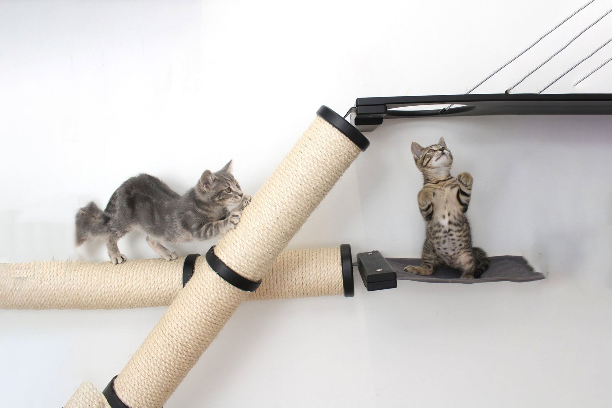 The Crossroads - Cat Wall Scratcher - Tree with Ramp Cat Condo Catastrophic Creations