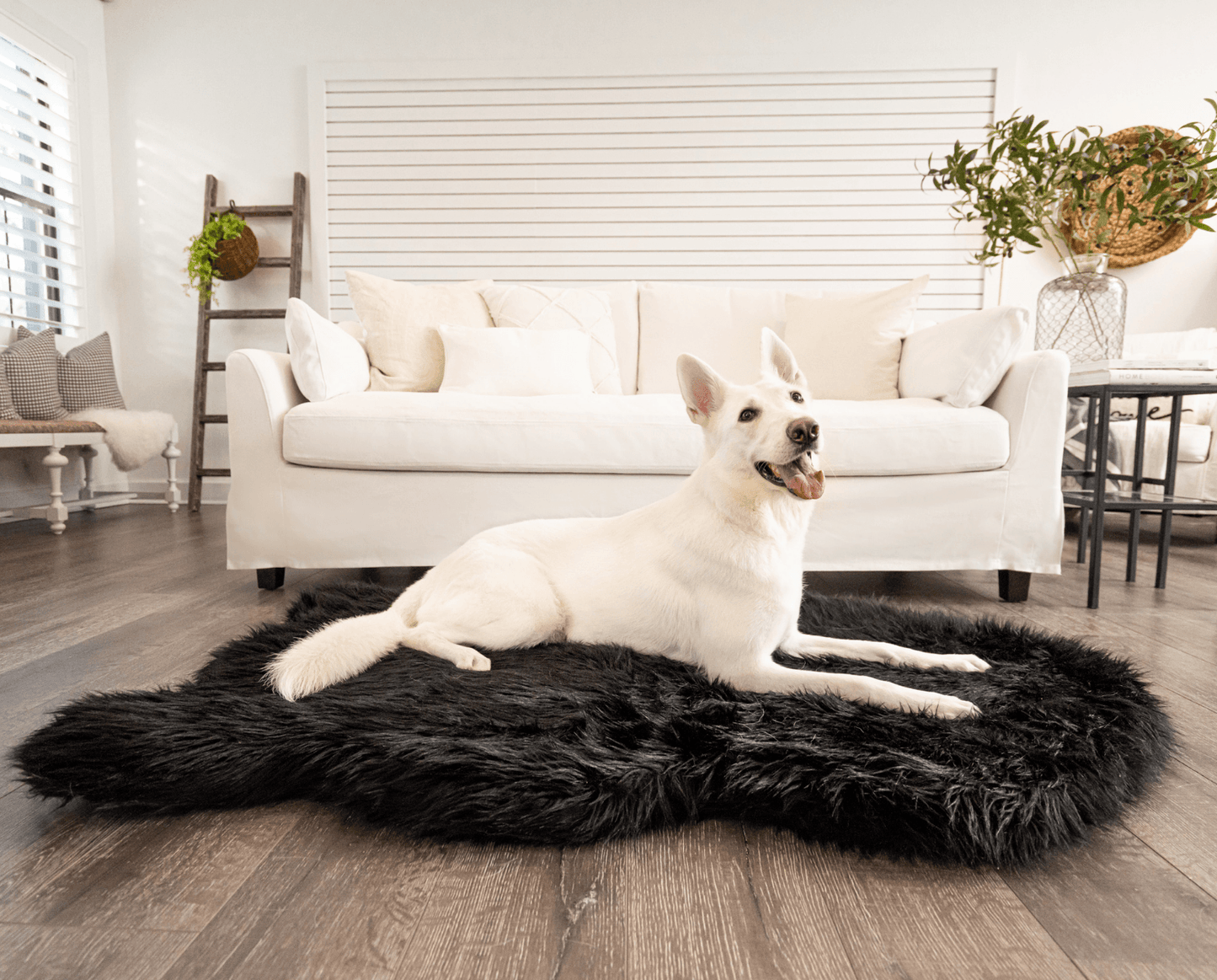 PupRug by Paw.com® Faux Fur Orthopedic Dog Bed - Curve Midnight Black Giant (60" L x 35" W) Dog Beds Paw.com