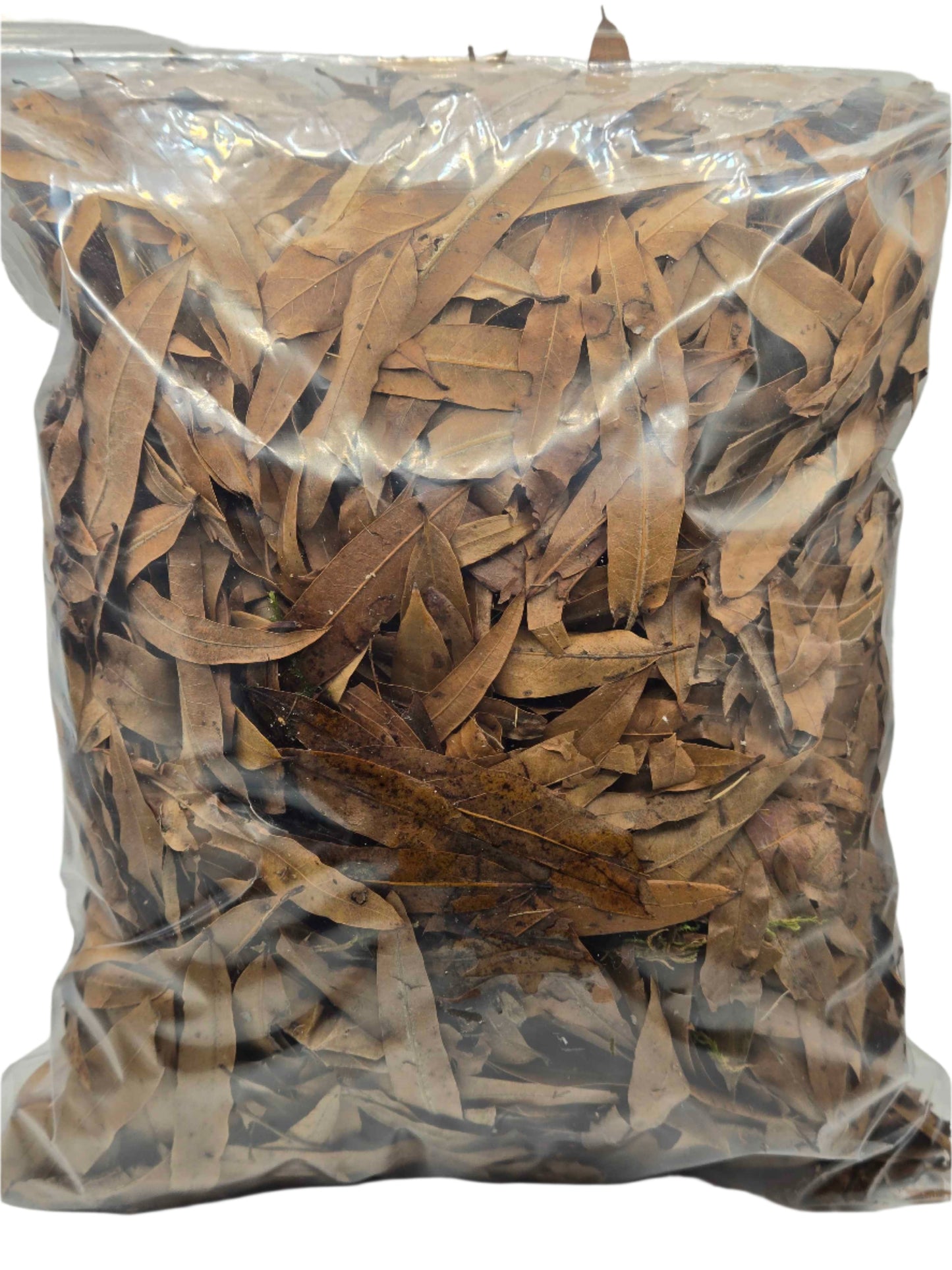 Forest Floor Leaf Litter (3 Sizes!) leaf litter Shield Wall Exotics