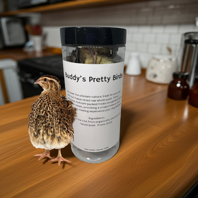 Bird Dog Training Quail - Premium Freeze-Dried Whole Quail for Dogs 5ct, Large (Chick) - Natural Prey Feeding Quality Protein Pet Treats Dog Treats Quailz.com by Undique LLC