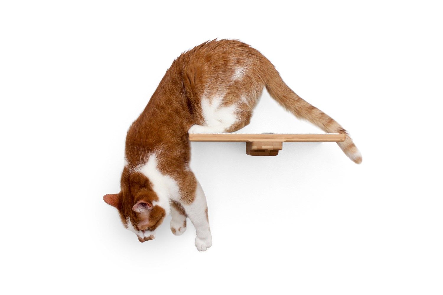 Cat Perch - Wall Mounted and Wooden Natural Bamboo Cat shelves/bed Catastrophic Creations