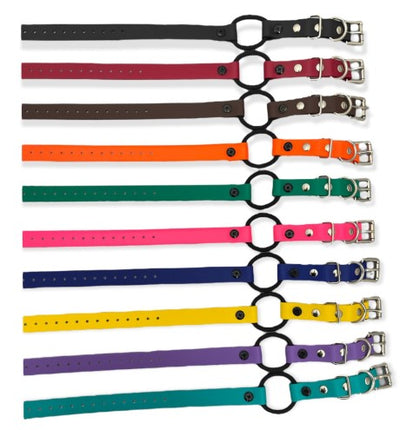 3/4" Biothane Bungee Collar (33" length) E-collar Technologies Dog Collar E-Collar Technologies