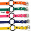 3/4" Biothane Bungee Collar (33" length) E-collar Technologies Dog Collar E-Collar Technologies