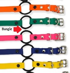 3/4" Biothane Bungee Collar (33" length) E-collar Technologies Dog Collar E-Collar Technologies