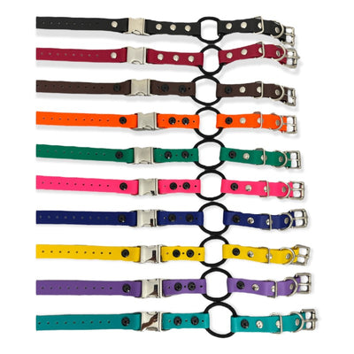 3/4" Biothane Quick-Snap with Bungee Collar E-collar Technologies Dog Collar E-Collar Technologies