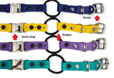 3/4" Biothane Quick-Snap with Bungee Collar E-collar Technologies Dog Collar E-Collar Technologies
