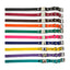 3/4" Biothane Quick Snap Collar E-collar Technologies Dog Collar E-Collar Technologies