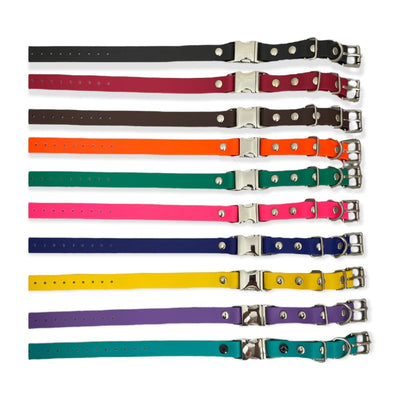 3/4" Biothane Quick Snap Collar E-collar Technologies Dog Collar E-Collar Technologies