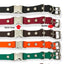 3/4" Biothane Quick Snap Collar E-collar Technologies Dog Collar E-Collar Technologies